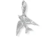 BIRD cz