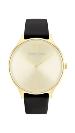 Calvin Klein Timeless 2h