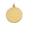 Guld/Silverbricka