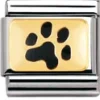 NOMINATION Black Paw
