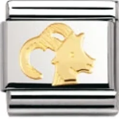 Nomination Classic Capricorn