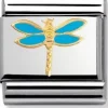 NOMINATION Dragonfly
